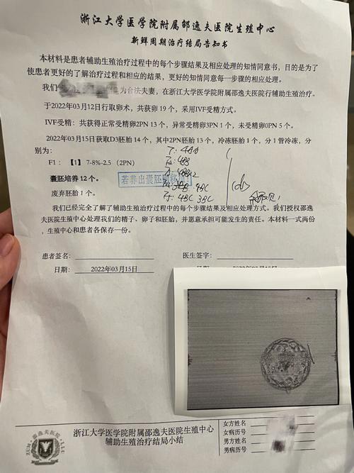 内地去做试管代怀费用_内地试管代怀费用一揽子服务