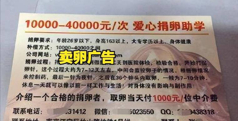 北京三代供卵试管孩子价格-北京三代供卵试管孩子价格大揭秘