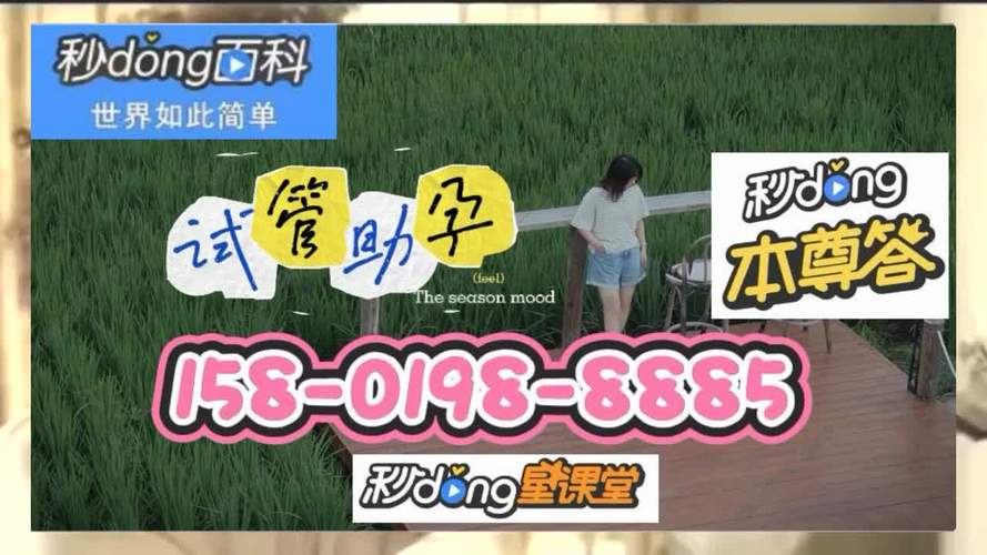 试管代怀公司名称(代怀宝贝，试管代怀公司专业服务”)