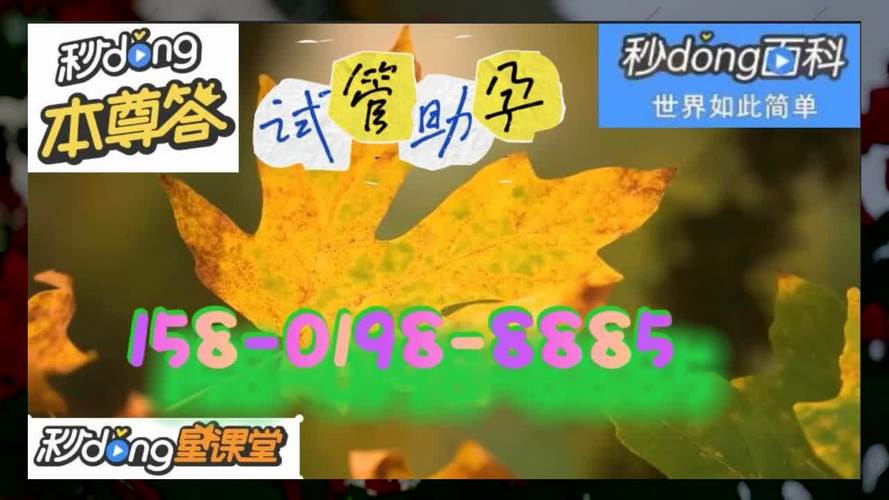 上海三代供卵试管孩子多少钱【上海三代供卵试管孩子价格咨询】