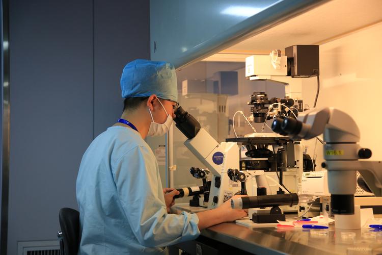 试管代怀医生(试管代怀医生:助您实现梦想)