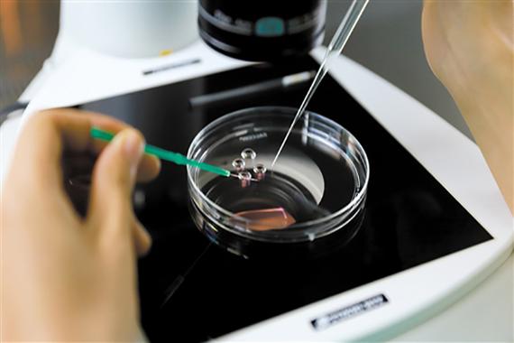 上海三代供卵试管哪家安全-上海三代供卵试管哪家安全可靠？