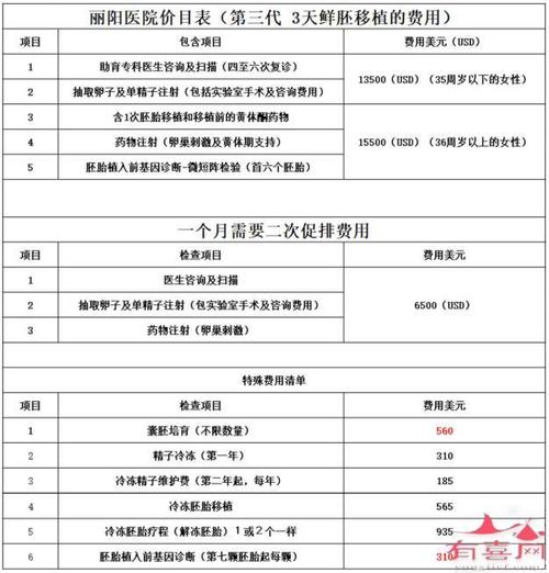 中国试管代怀费用(中国试管代怀费用一览- 价格、流程及注意事项)