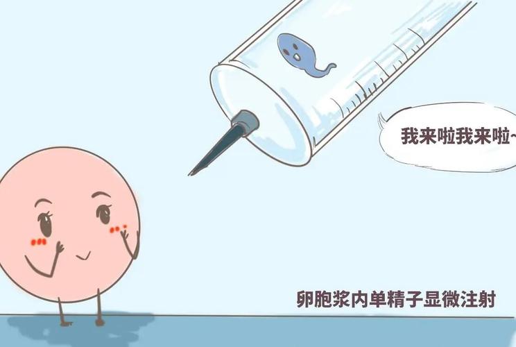 试管代怀妈妈包生男孩_试管代怀妈妈包生男孩:科技助力实现心中所愿