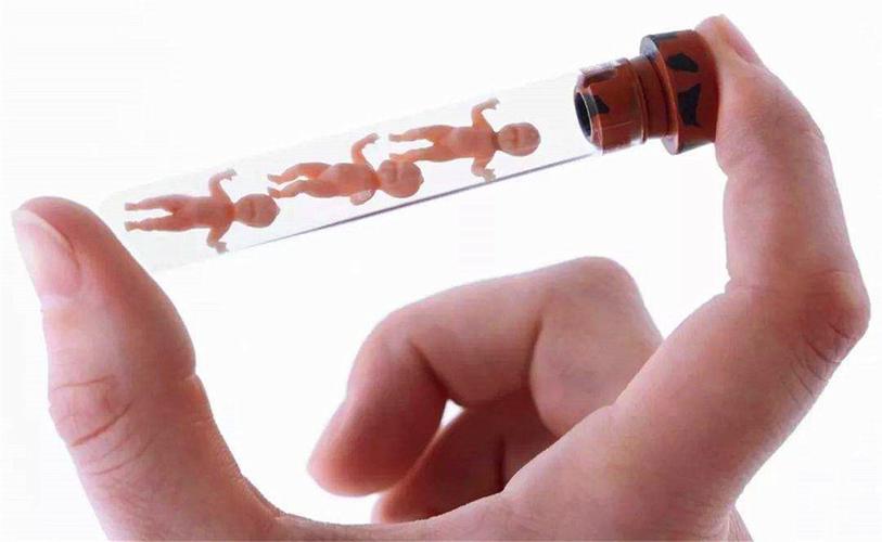 试管代怀孩子像谁(试管代怀孩子:以谁为中心?)