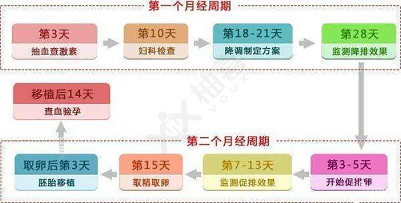 试管代怀周期要多长时间【试管代怀周期：何时能成功怀孕？】