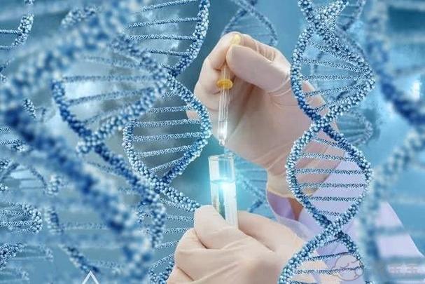 试管代怀哪里做的好_试管代怀哪里做的好：全面解析试管代怀妇产医院选择指南