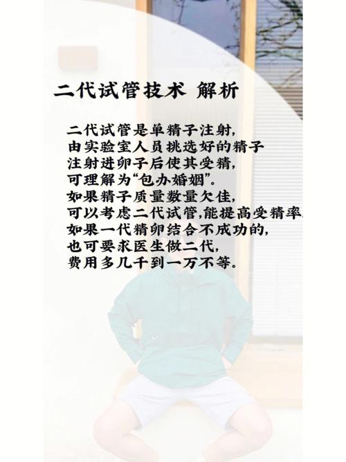 试管代怀的全包协议内容(试管代怀全包协议内容解析)