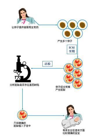 试管代怀原因-试管代怀原因解析