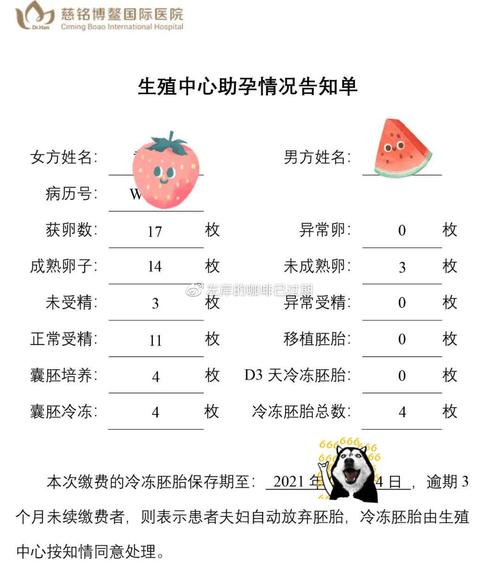 试管代怀的孩子怎么上户口-试管代怀孩子上户口攻略