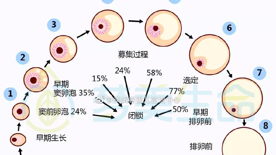 试管代怀周期多久_试管代怀周期多久合适？
