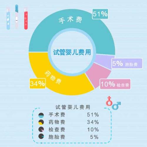 试管代怀包成功生女孩多少费用-试管代怀包成功生女孩多少钱？