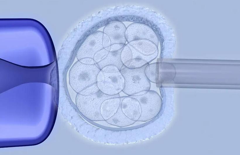 试管代怀可以选择男孩吗_试管代怀:可以选择男孩吗?