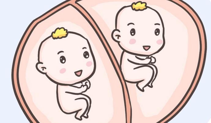 北京三代供卵试管双胞胎【北京三代供卵试管双胞胎:新生命的奇迹】