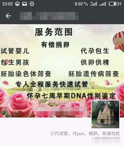 广州三代供卵试管选性别包生男孩(广州三代供卵试管选性别包生男孩专家指导)