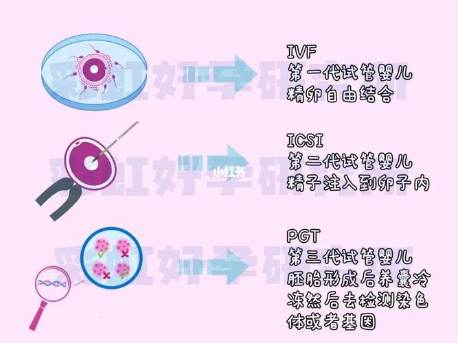 试管代怀之母-试管代怀之母:她们的故事