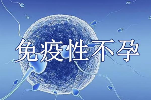 试管代怀安全性_试管代怀安全性:关键因素解析