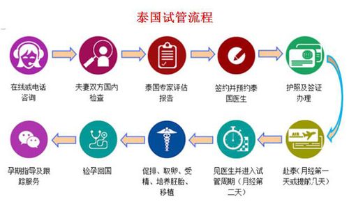 试管代怀中心哪间权威-权威试管代怀中心选择指南