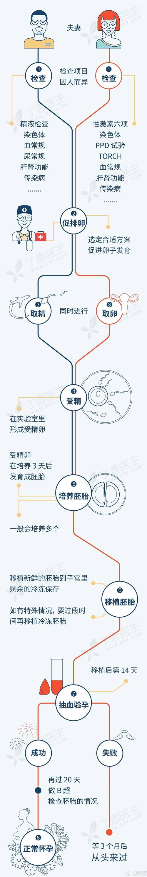什么是试管代怀技术-试管代怀技术解析:科学背后的生育奇迹