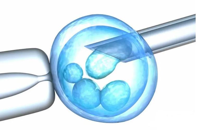 上海三代供卵试管孩子包成功【上海三代供卵试管孩子包成功指南】