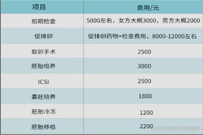 试管代怀产子的费用(试管代怀产子费用分析及比较)