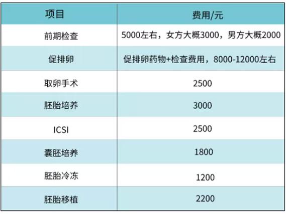 试管代怀产子一般多少费用(试管代怀产子费用:一般多少?)