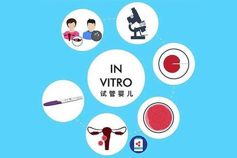 不做试管代怀可以(不做试管代怀可以:重新定义生育的可能性)