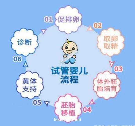 试管代怀什么时候能合法(试管代怀何时能合法化?)