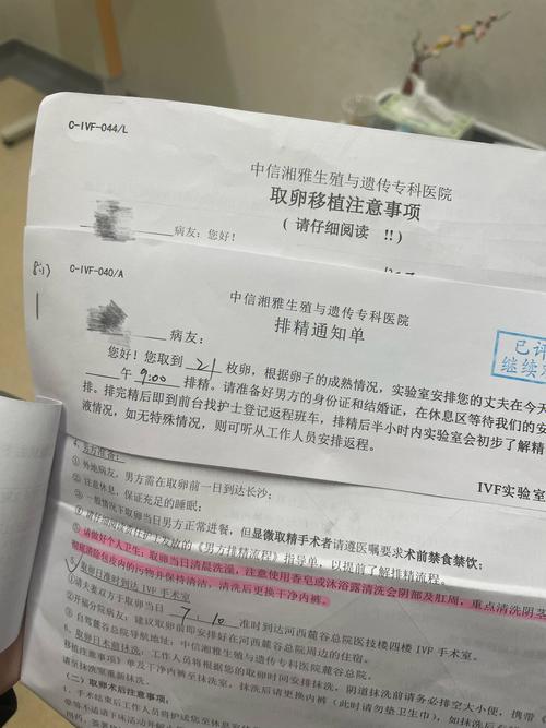 人工试管代怀书籍【人工试管代怀书籍：当代生育科技与伦理困境】
