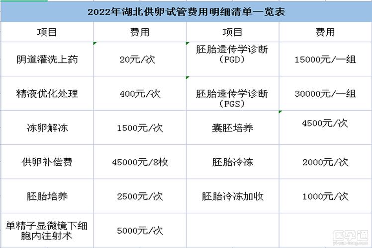 中国试管代怀要多少费用(中国试管代怀费用咨询及解析)