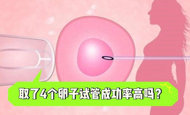 试管代怀一定会成功吗(试管代怀一定会成功吗?)