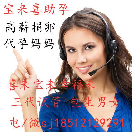 试管代怀在线咨询(试管代怀在线咨询:专业指导,解决您的疑惑)